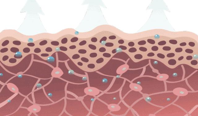 海蓝之谜活颜焕肤精华油,海蓝之谜lamer璀璨焕活精华油30ml