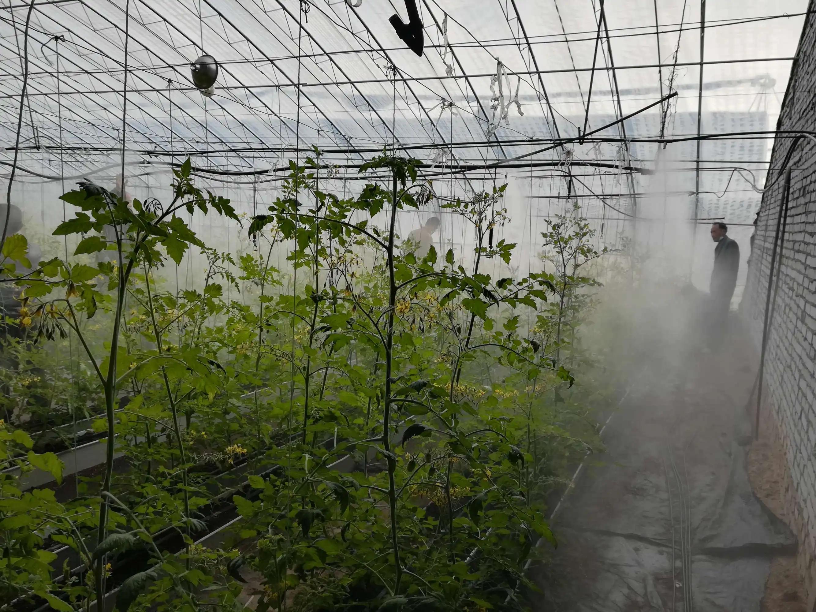 次氯酸消毒液消毒针对哪些食品,次氯酸消毒优点缺点