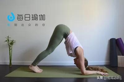 每日瑜伽app怎么样,每日瑜伽王蕊瑜伽视频