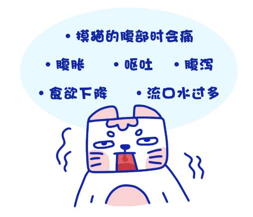 猫胀气放屁原因有哪些,猫咪肚子胀气一直放屁
