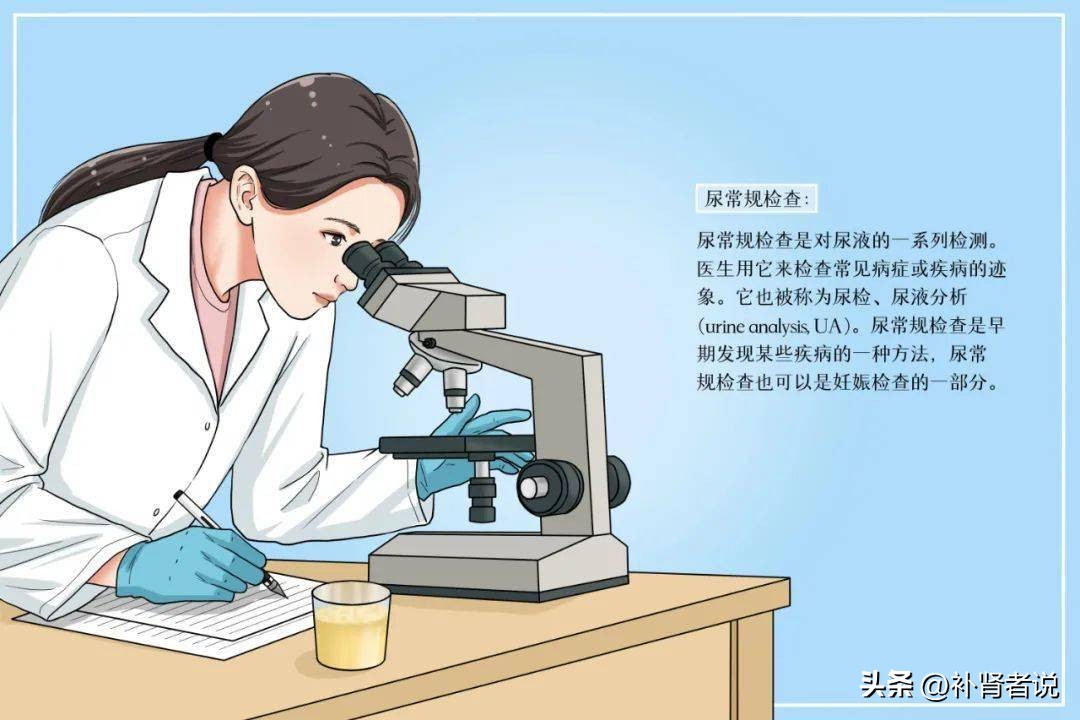 如何解读尿常规体检报告,体检尿常规一般都有什么项目