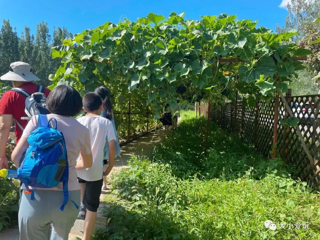 北京带孩子周边休闲度假的好去处,北京适合带孩子玩的度假村