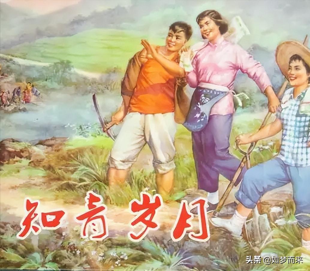 发生在我身边的趣事日记,发生在我身边的廉洁小故事