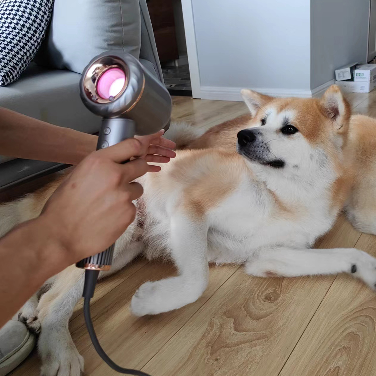 橙飒卡吹风机 (osak橙飒卡吹风机开箱)