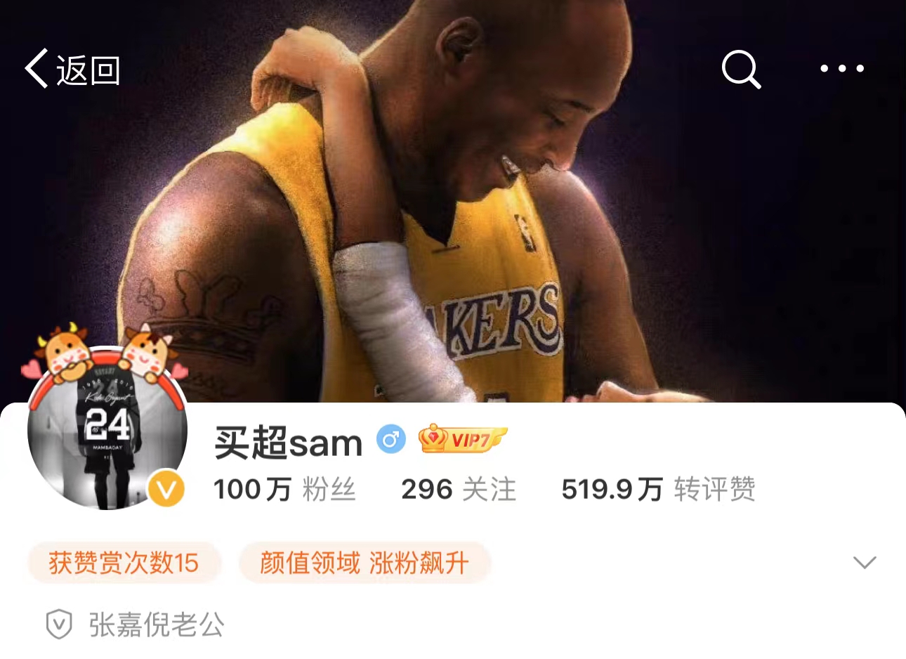 张嘉倪和买超要多少抚养费,张嘉倪离婚分到多少财产