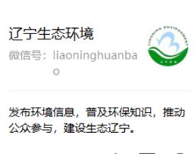 新媒体专业与新媒体技术,网络与新媒体必学