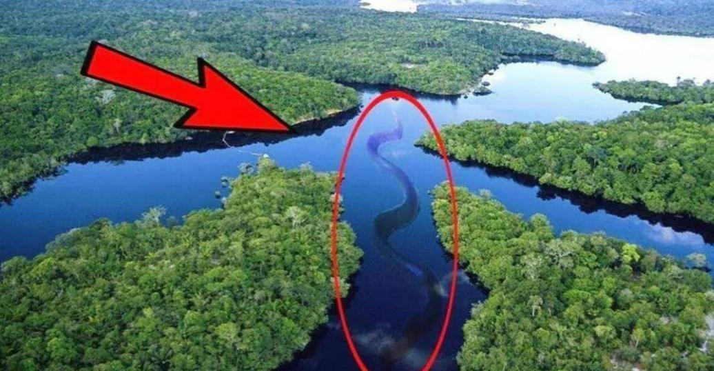 亚马逊河为什么没一座桥能跨过它,亚马逊河有多少桥梁