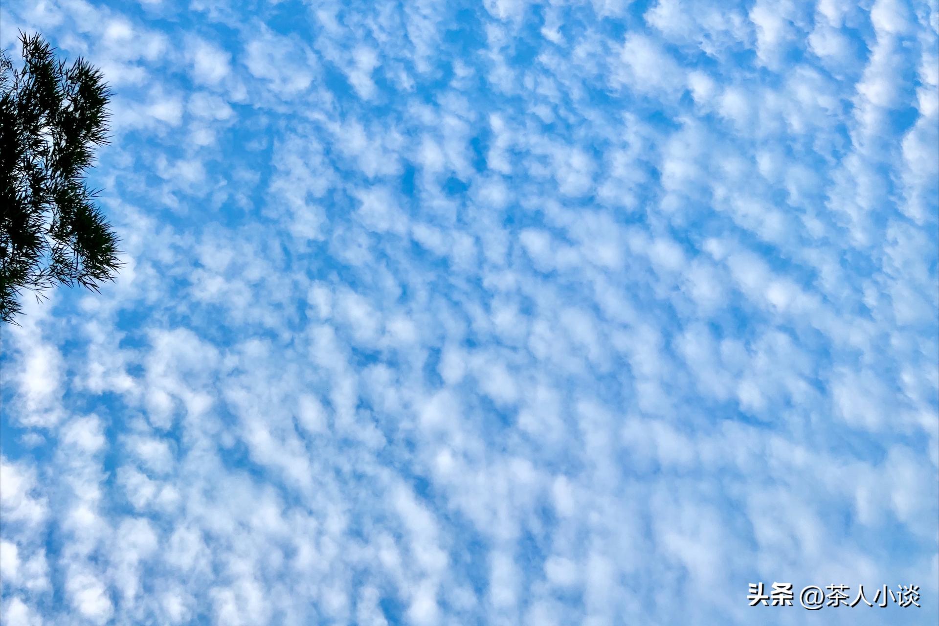 天上鲤鱼斑后面是什么,天上鲤鱼斑