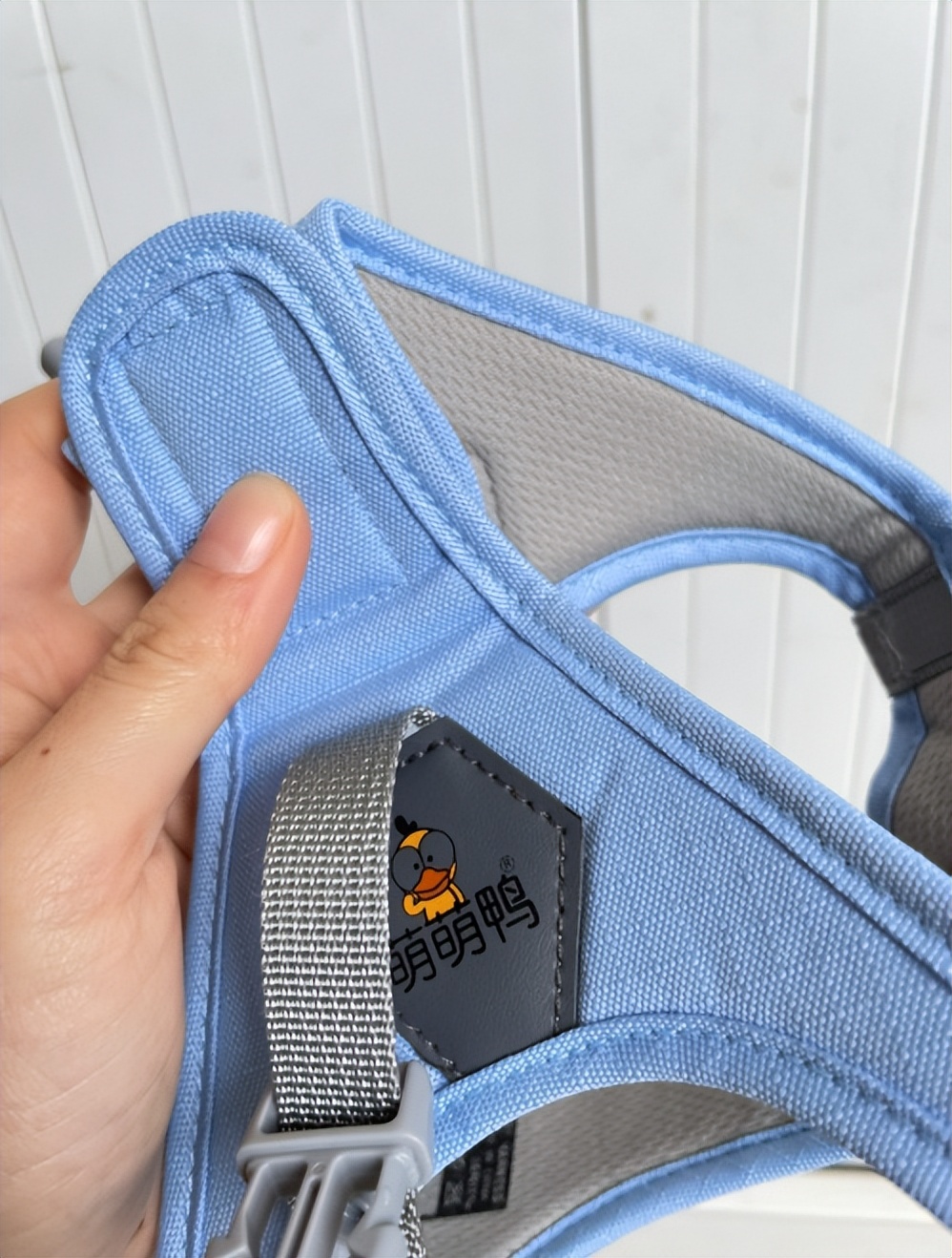 肥猫宠物猫砂推荐,猫咪博主推荐猫砂