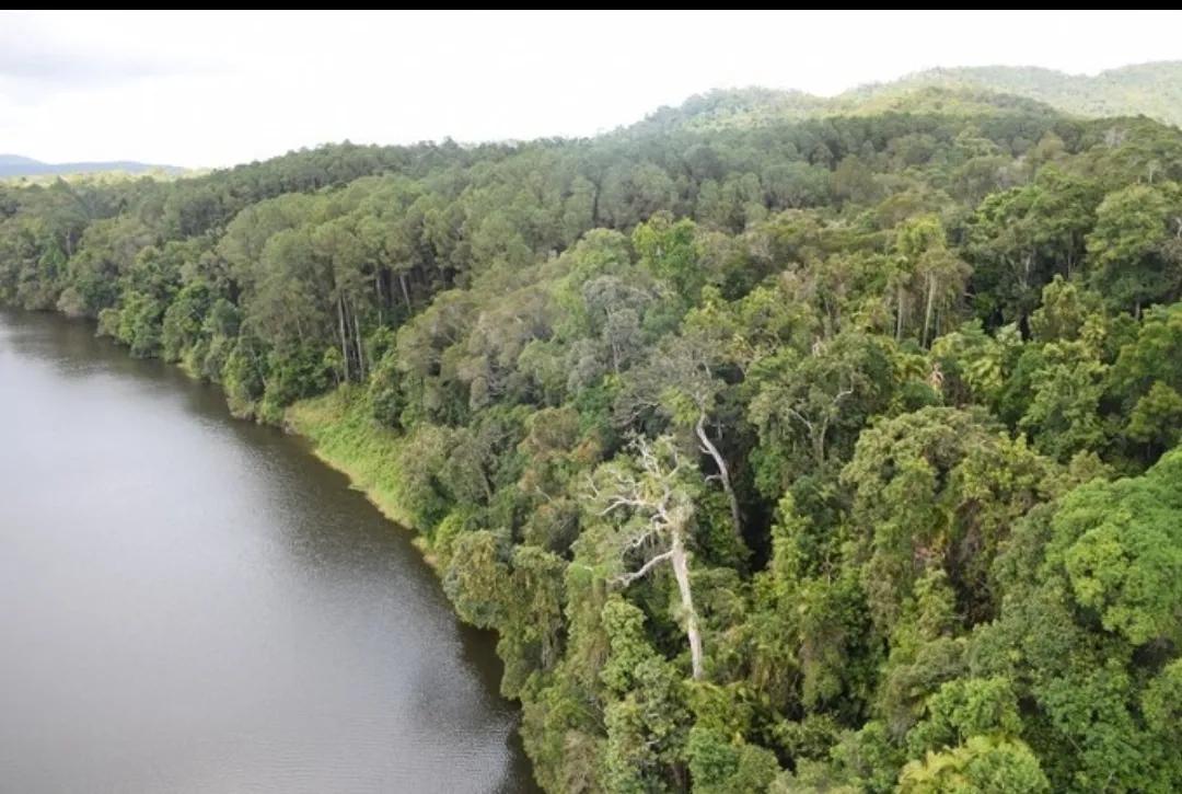 游览热带北昆士兰凯恩斯大堡礁,澳大利亚昆士兰州凯恩斯