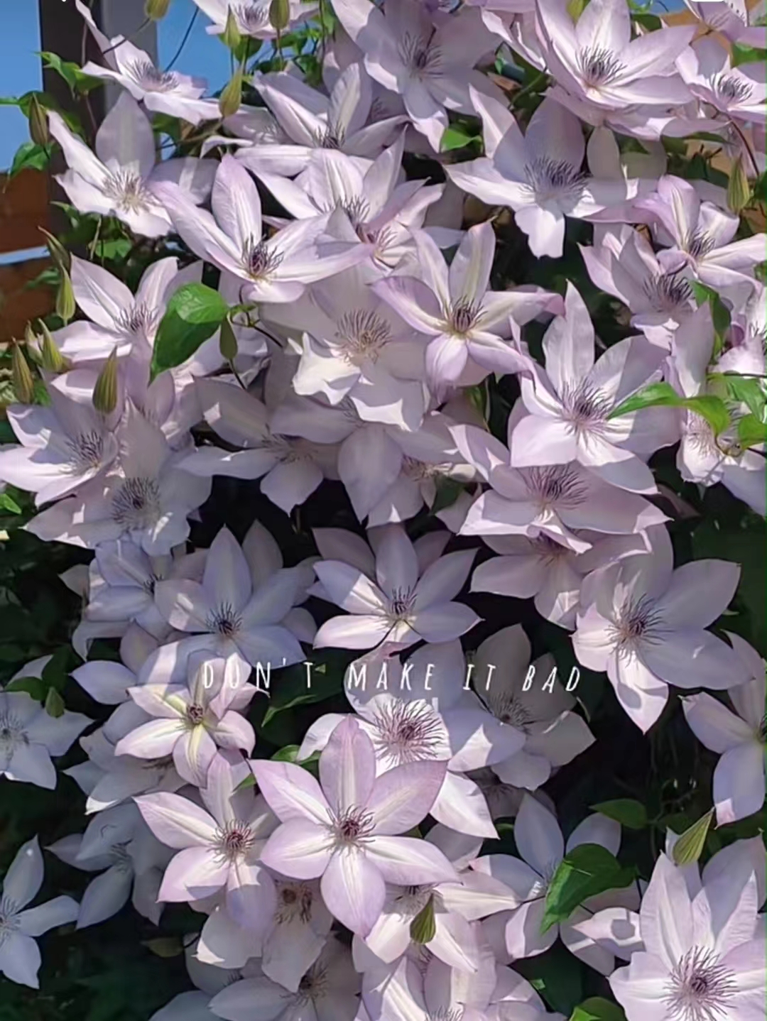 买保险刚过犹豫期后悔了怎么办,买了保险在犹豫期想退怎么操作