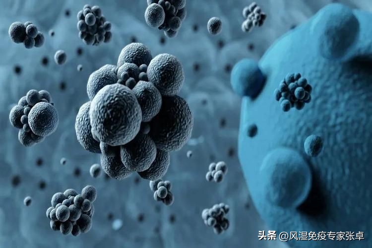 痛风清热解毒方法,一物治好痛风的方法