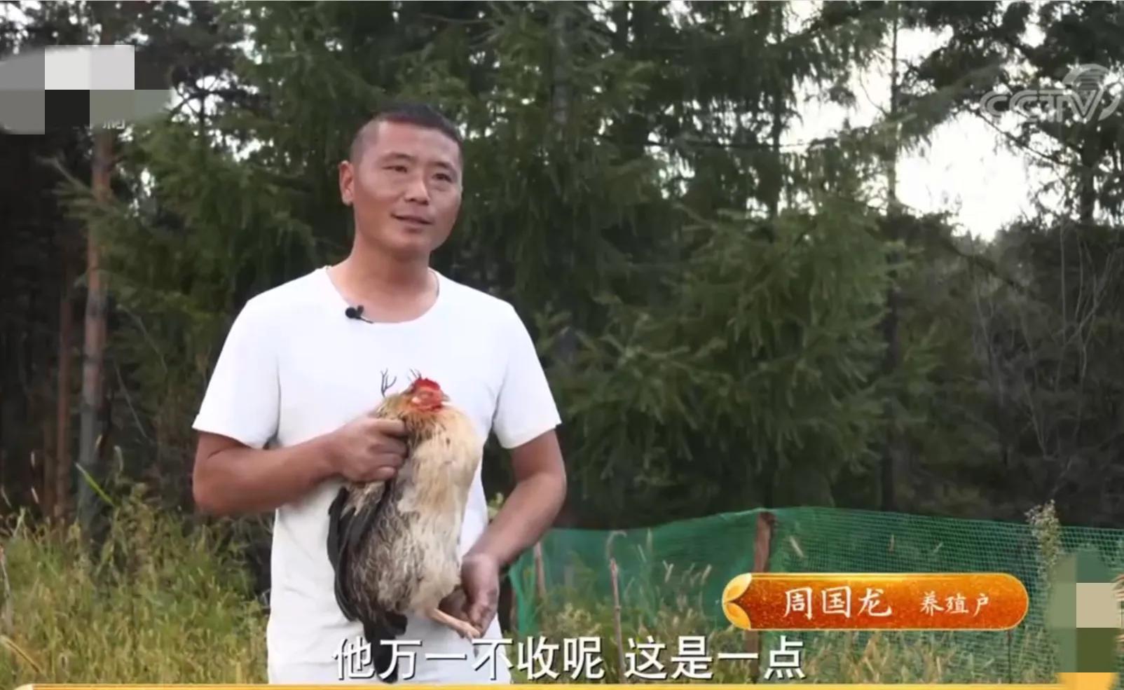 浙江男子把鸡和猪塞进大缸，靠278口大缸，一年销售额3000多万元