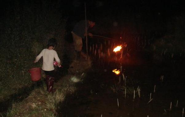 2013年,河北4岁男婴遭石头雨攻击,右手截肢奶奶怒骂:都是你害的