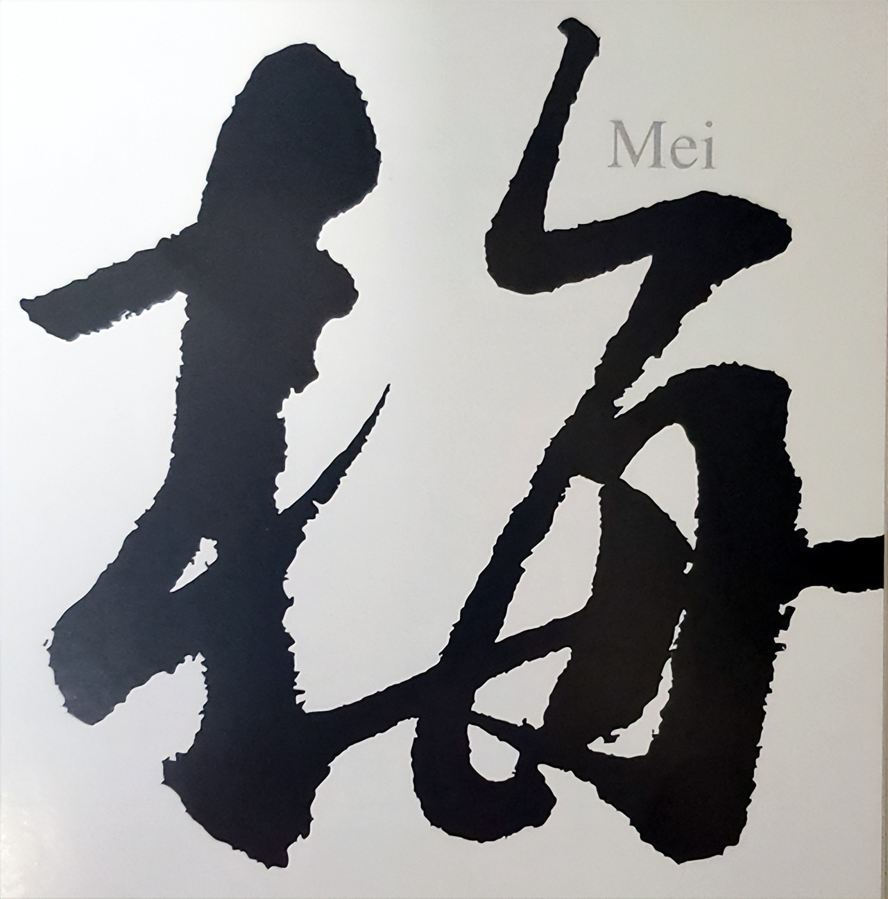 梅花总部成立 (新成立的梅花企业)