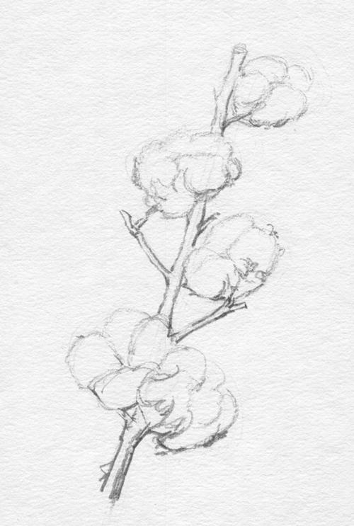 怎么画一个简单的棉花糖,苹果玉米棉花怎么画