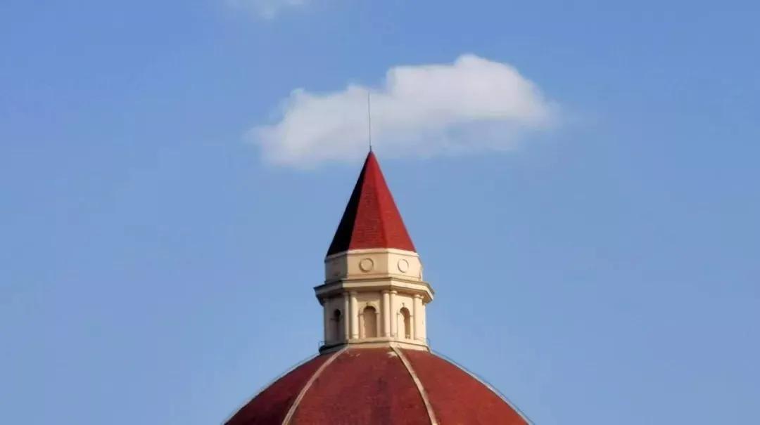 上海外国语大学2023年录取人数,上海外国语大学2019年招生简章