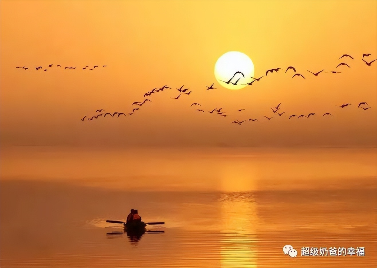 股市逆回购怎么赚钱,散户如何在股市赚钱