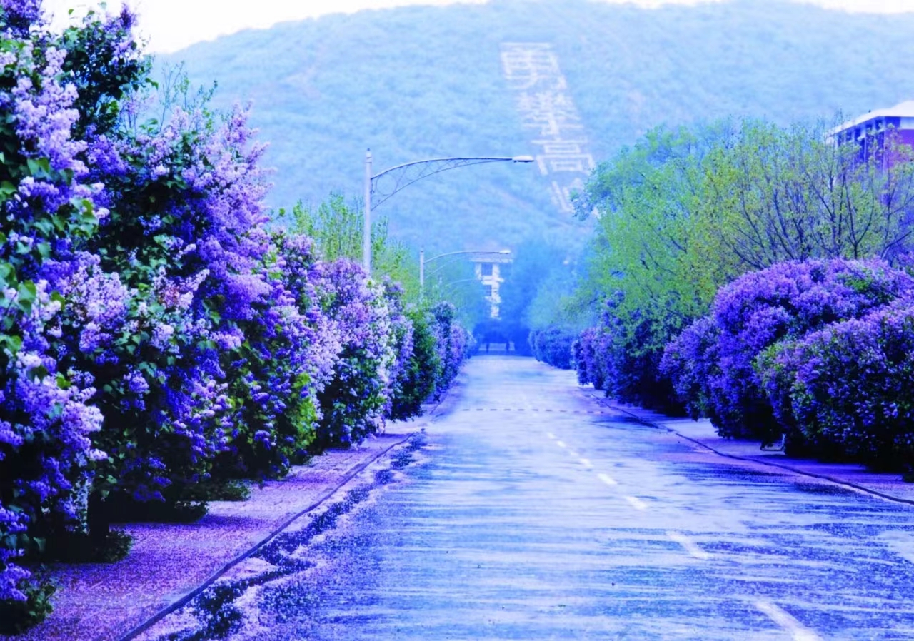 当兵的出路都有哪些方面,普通人当兵真的有出路吗