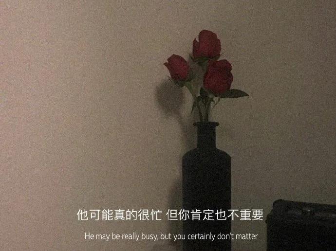 情绪郁结文案,熬过心情再熬生活的文案