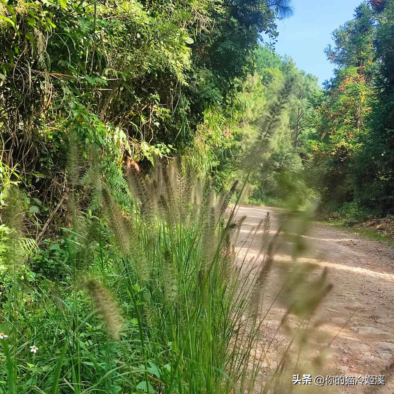 有点心酸难过的文案,总有一句扎心的文案戳到你的心