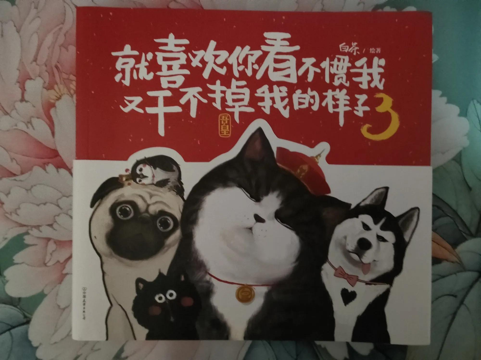 鍌插▏钀屼富鍚剧殗,鍌插▏钀屼富鍚剧殗椹惧埌