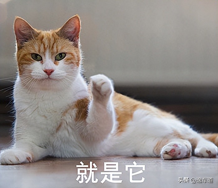 14本田奥德赛二手车手动挡多少钱,14年本田奥德赛二手车转让5万以下