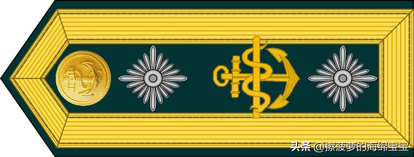 二战德国国防军医疗兵军衔标志