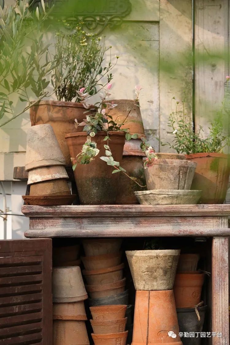 第八届园丁奖露台组《030号》洛基花园