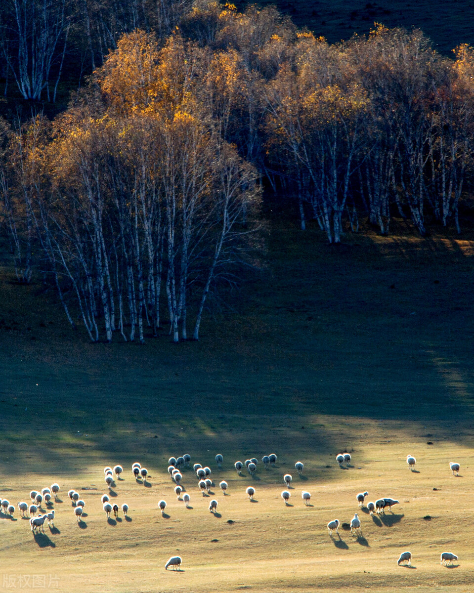 中国景观有多惊艳？这33个，去过一半，此生无憾，你去过哪几个？