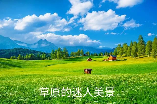 内蒙古希拉穆仁草原自驾游,内蒙古希拉穆仁大草原视频