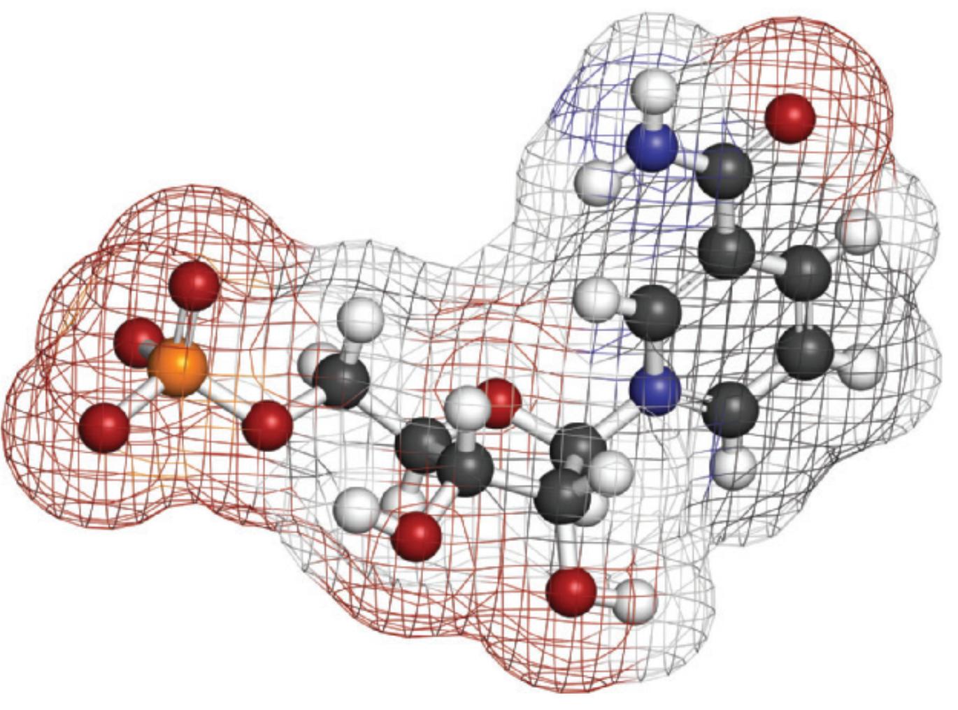 抗衰老的nmn到底是什么,nmn是抗衰老不可少的必需品