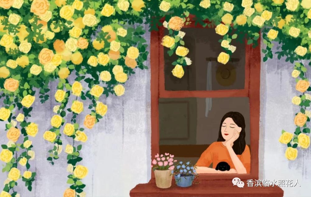 奋斗成就梦想作文议论文,奋斗成就梦想劳动创造幸福作文