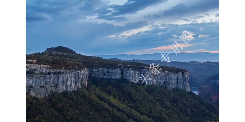 女子为凑钱给老公治病,女子为了给丈夫治病筹钱现身