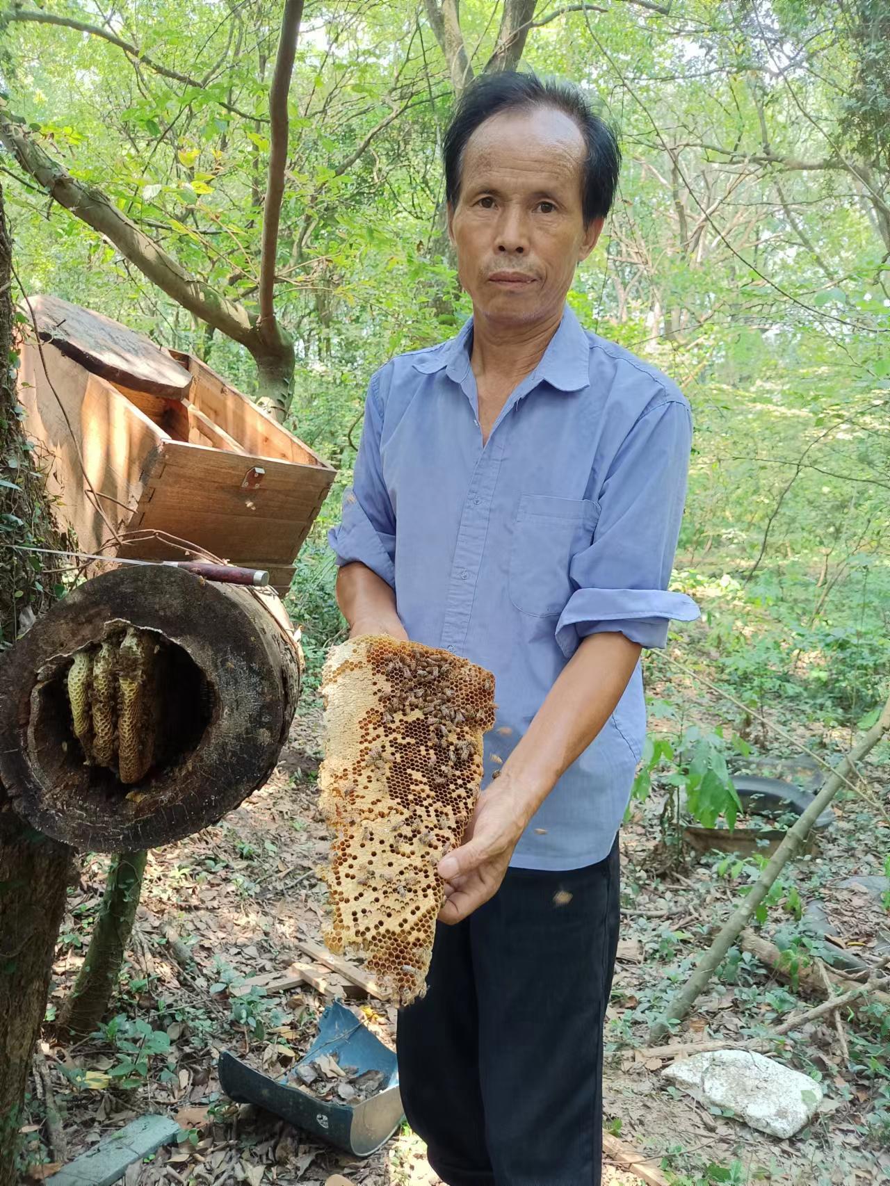 去哪里买蜂蜜最纯正呢,网上买蜂蜜可靠吗