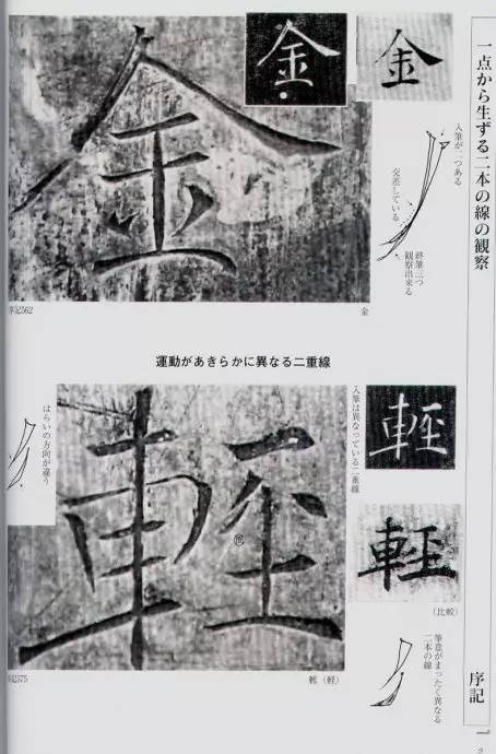 宸ョ瑪鐢绘潹鏅箟鐢诲唽,鏉滈箖鏉ㄦ櫘涔夊畬鏁寸増