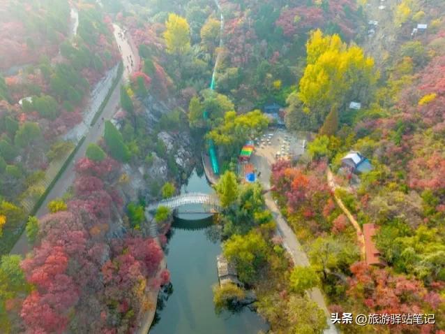 济南红叶谷最新视频,济南红叶谷免票政策