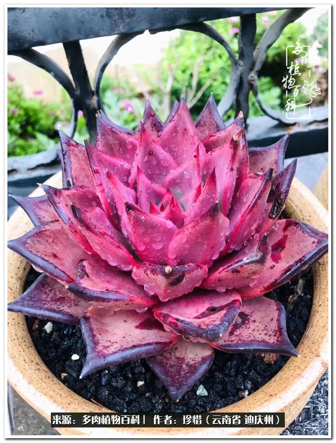 给生命一份淡然还岁月一份从容,给生命留一份洒脱的话