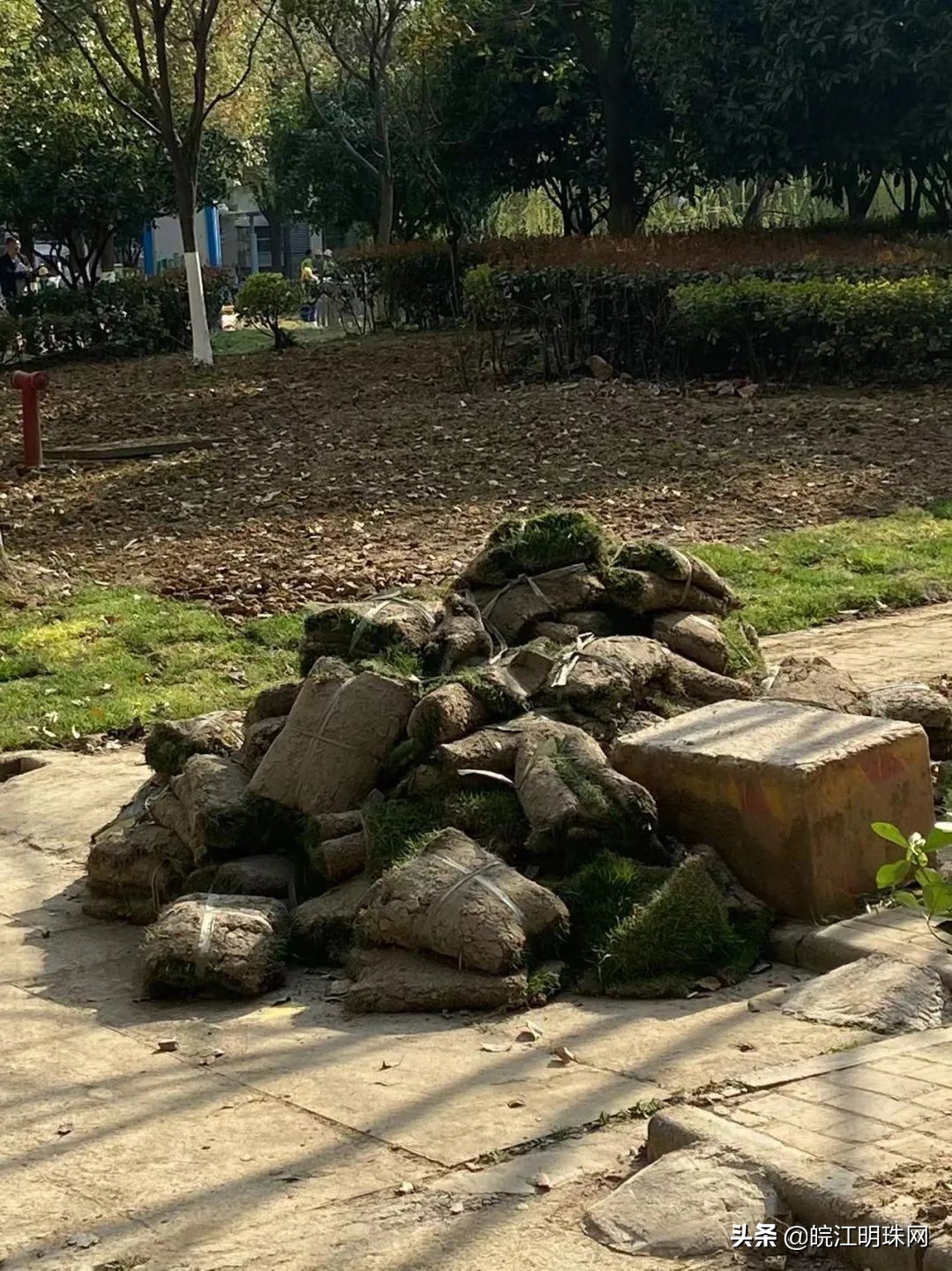 芜湖整治物业的原因是什么,芜湖这42家小区物业被约谈