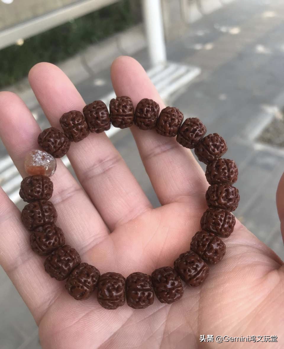 小金刚菩提时来运转,小金刚菩提走色