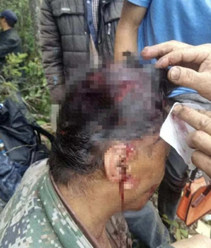 黑熊一巴掌威力测试,黑熊一巴掌力量有多大