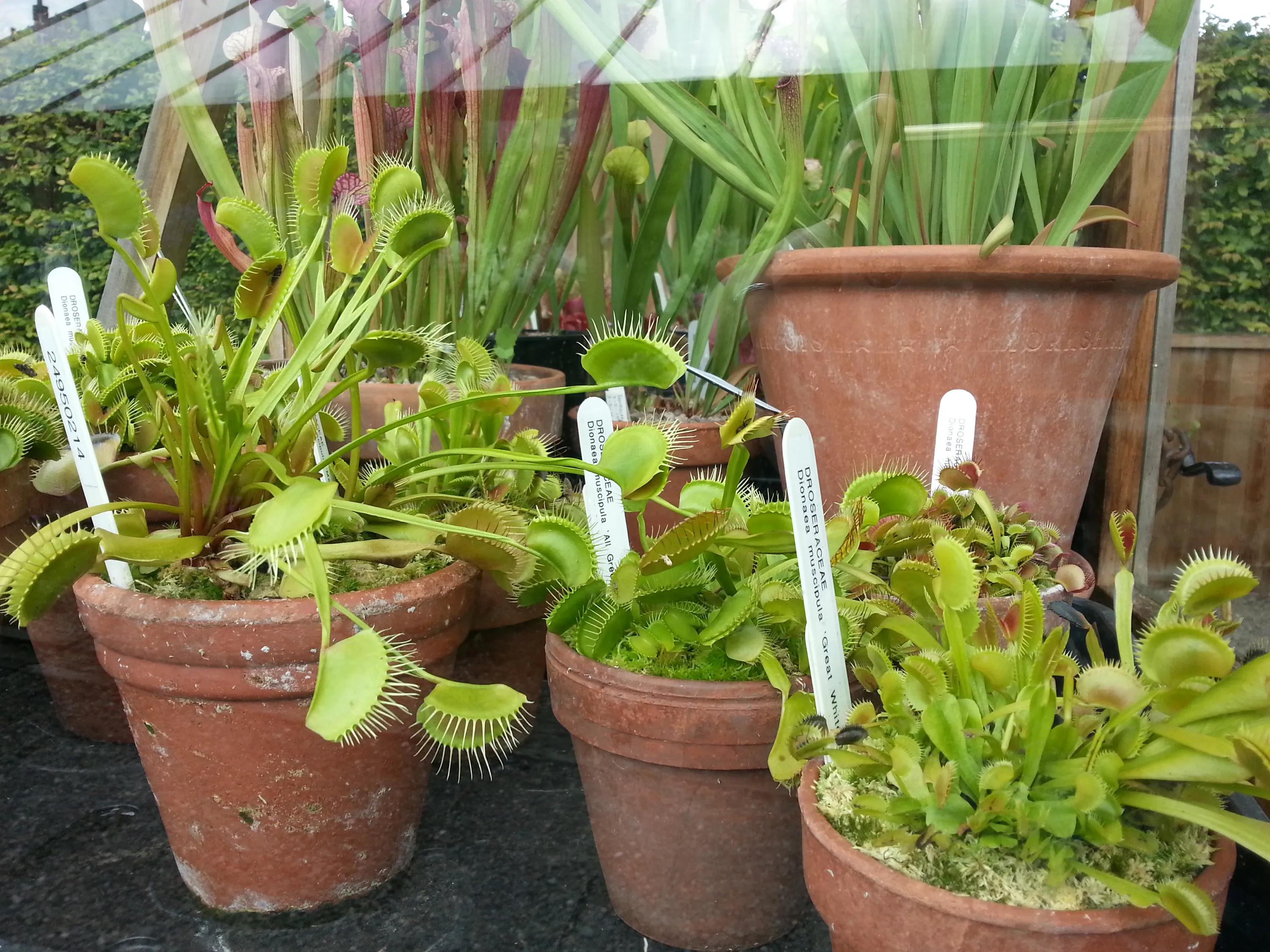 英国伯明翰留学,英国之旅伯明翰