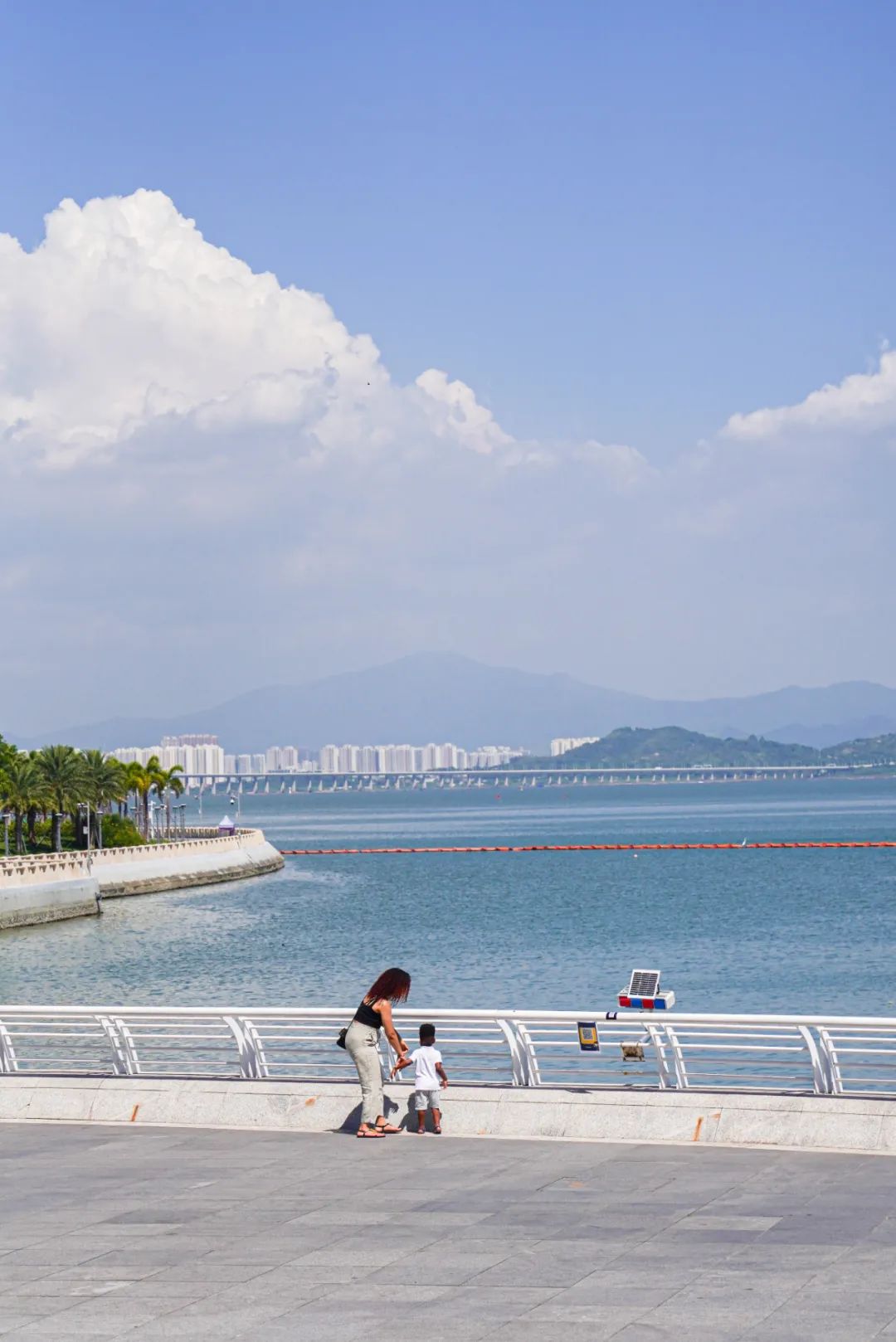 千万不要来深圳打工,深圳蛇口打工人的生活