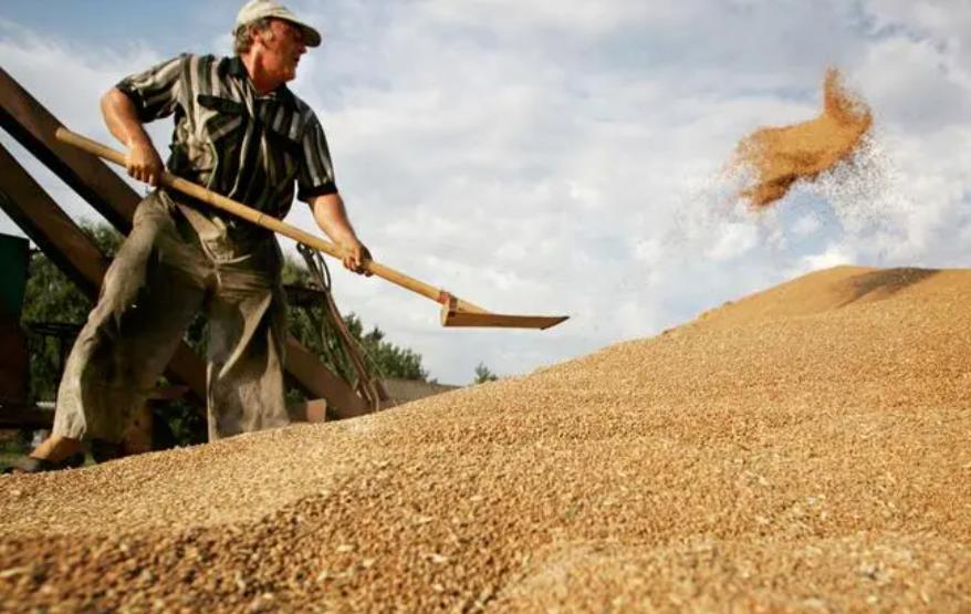 俄罗斯为多卖粮食中国，普京送上大礼，东北获得海参崴出海口