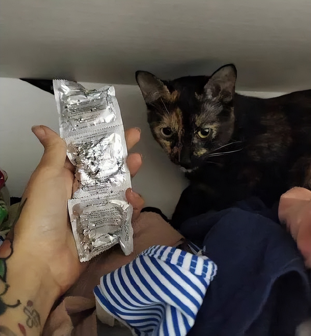 弱者只会抱怨而强者只会适应环境,人要对自己好一点幽默搞笑图片