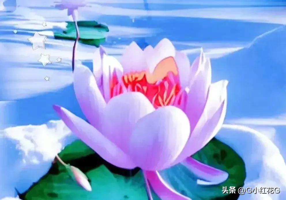 现货黄金技术分析教程入门,现货黄金技术分析视频