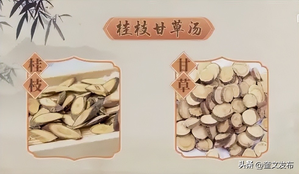 心阳不足与血压有关系吗,心阳不足的中医辨证