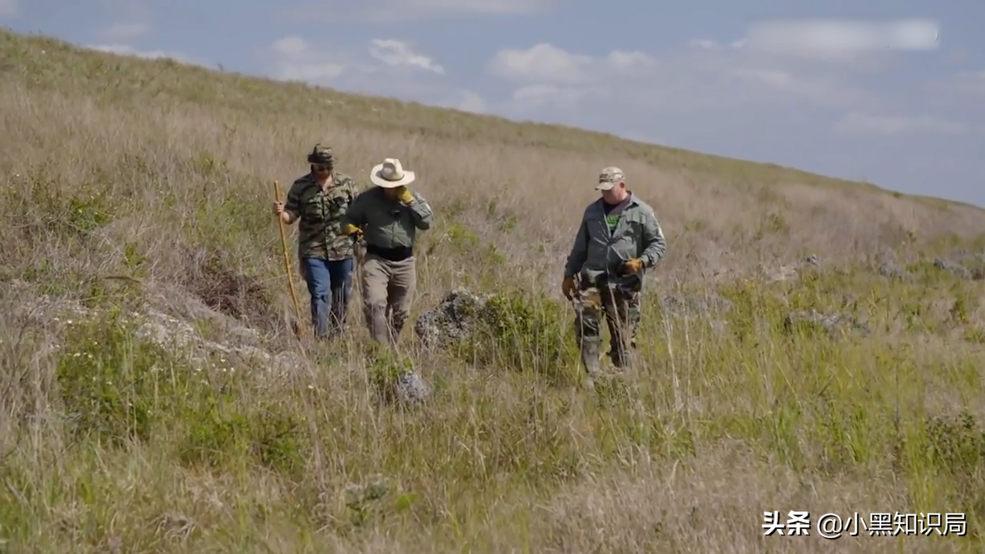 美国再遭生物入侵，30万只缅甸蟒泛滥成灾，最大能长9米，400斤重