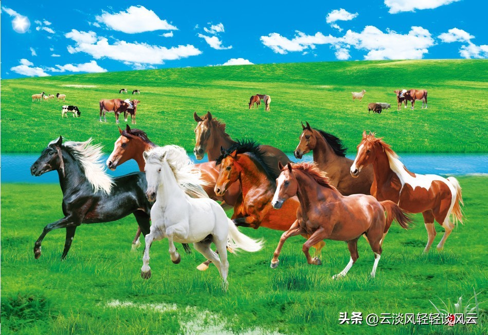 马群名字由来简介,南京马群地名历史