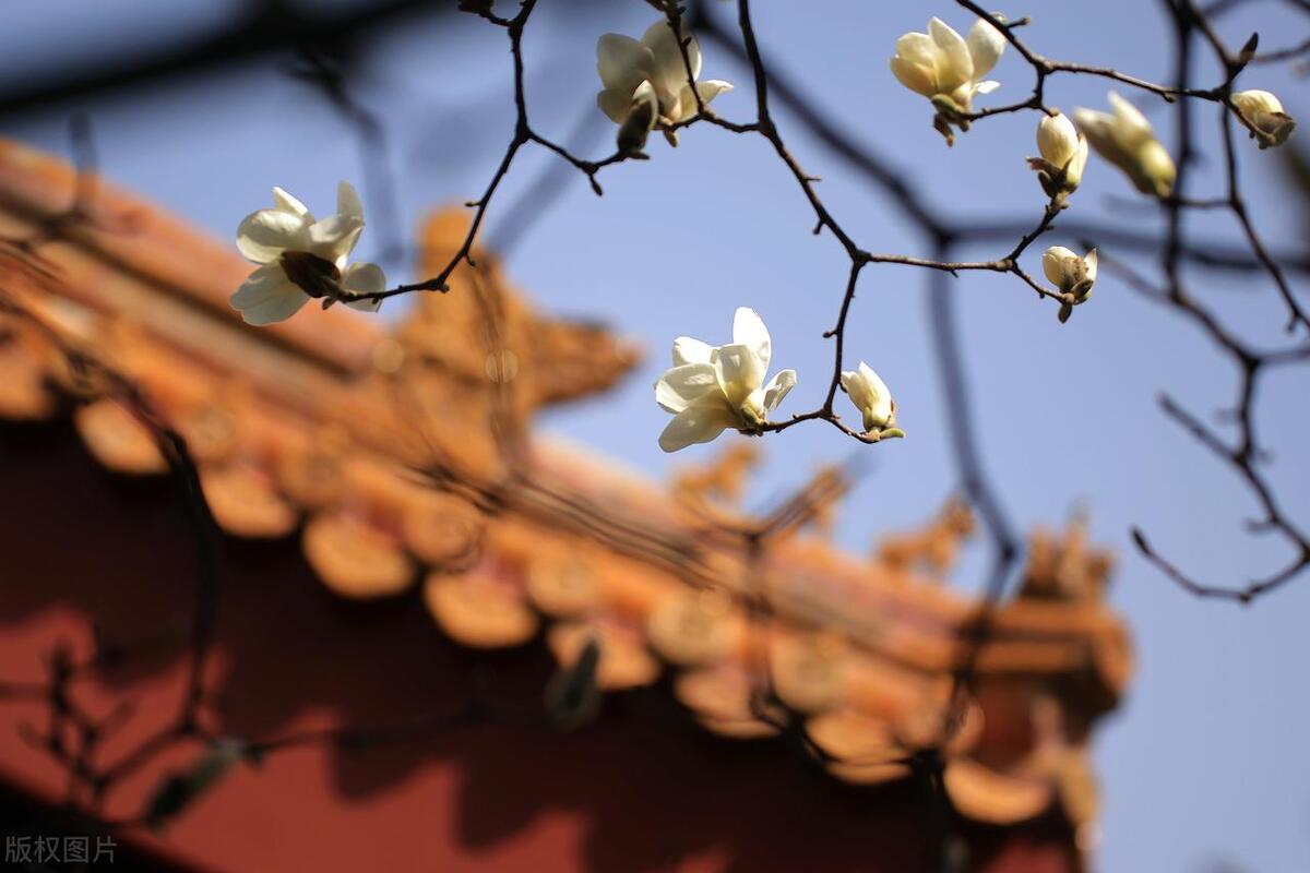 叫我一声妈妈告诉你一个秘密,叫一声妈妈告诉你一个天大的秘密